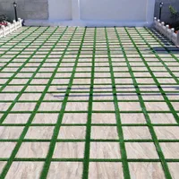 اجرای چمن بین موزاییکی و دیوار TV و باربیکیو