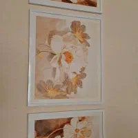 دکوری و تزئینی