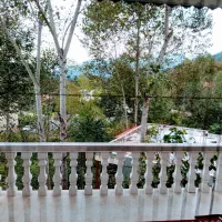 اجاره روزانه ویلا دربست با ویو  دریاچه حلیمه جان|اجارهٔ کوتاه‌مدت ویلا و باغ|توتکابن, |دیوار