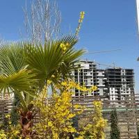 فروش امتیاز آپارتمان 299 متری دراک