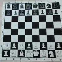 شطرنج دیواری