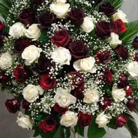 اجاره میزوصندلی بانداکتیورقص نور ملزومات تشریفاتی|خدمات پذیرایی، مراسم|فردیس, سرحدی|دیوار