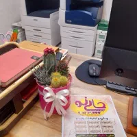 چاپ فوری. فتوکپی و پرینت رنگی باکیفیت. چاپینو