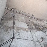 تور کبوتر سعی وسالم است