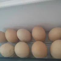 تخم مرغ محلی