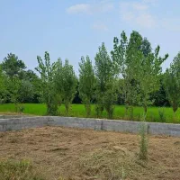کارگر ساده امورات ساختمانی و علف تراشی