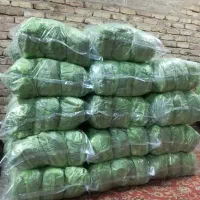 زغال کبابی دوقلوها