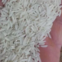 برنج هاشمی محصول خودم|خوردنی و آشامیدنی|تولم شهر, |دیوار