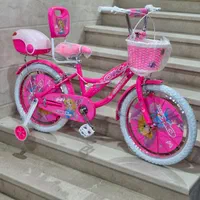 دوچرخه ۲۰ دخترانه رالکس|دوچرخه، اسکیت، اسکوتر|قم, کیوانفر|دیوار