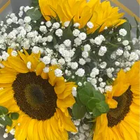 تخفیف ویژه عکاسی و فیلمبرداری از ۱آذر تا۳۰ آذر