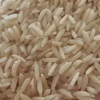 برنج هاشمی