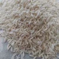 برنج هاشمی گیلان حضوری و غیر حضوری