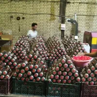 کپسول واتاشان (اوجاقی،مسافرتی،خانگی)|اجاق گاز و لوازم برقی پخت‌وپز|زنجان, |دیوار