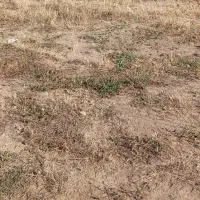 زمین با موقعیت عالی