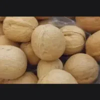 گردو وارداتی کاغذی