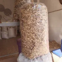 فروش عمده مغز گردو سفید، کیفیت ممتاز و قیمت مناسب