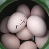 تخم مرغ اوشامو