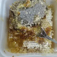 عسل طبیعی وکره گاوی