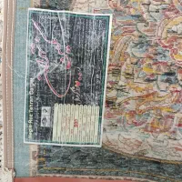 قالی 12متری نو نو|فرش|باوی, |دیوار