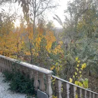 اجاره باغ ویلا ابشینه|اجارهٔ کوتاه‌مدت ویلا و باغ|همدان, |دیوار