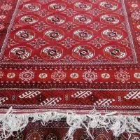 قالی|فرش|گنبد کاووس, |دیوار