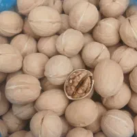 گردو درجه یک پوست کاغذی