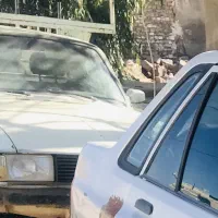 وانت مدل ۸۸ سالم