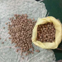 گردو ،، محصولات ارگانیک ،، دهبکری|خوردنی و آشامیدنی|بم, |دیوار