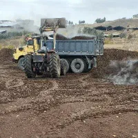 فروش کود گاوی