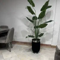 گل مصنوعی پرنده بهشتی با گلدون نو