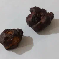 شهاب سنگ|کلکسیون اشیاء عتیقه|مرودشت, ژیان|دیوار
