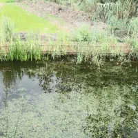 ویلایی با فضای باز برای تفریح و زندگی|فروش خانه و ویلا|تربتحیدریه, کلاته توکلی|دیوار