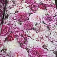 کاغذدیواری قابل شست وشو و قیمت مناسب|مصالح و تجهیزات ساختمان|تبریز, |دیوار