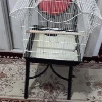 دو عدد قفس پرنده متوسط|لوازم جانبی حیوانات|سهند, |دیوار
