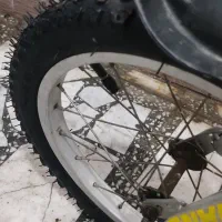 دوچرخه سالم سایز ۱۶ المپیک در لاهیجان|دوچرخه، اسکیت، اسکوتر|لاهیجان, کوی آزادگان|دیوار