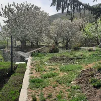 فروش ۵۰۰متری لواسان