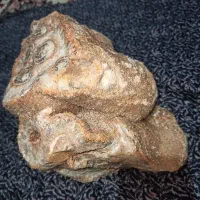 سنگ امیتیس|کلکسیون اشیاء عتیقه|بناب, |دیوار