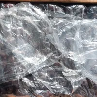 خرما مضافتی|عمدهفروشی|فلاورجان, |دیوار