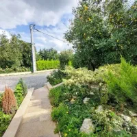 ی-زمین-زیرقیمت-که-نمونش-تومنطقه-نیست-اقساط-بلندمدت