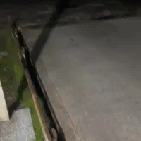 باسکول دیجیتال ۵۰ تنی باپرینتر