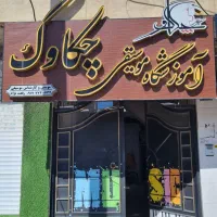 آموزشگاه موسیقی چکاوک