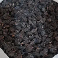 مویز و شیره انگور  و کندو زنبور|خوردنی و آشامیدنی|شیراز, کوشک میدان|دیوار