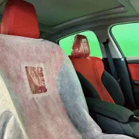 BMW 225 L|خودرو سواری و وانت|تهران, سعادت‌آباد|دیوار