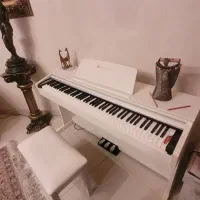 پیانو دیجیتال برند Blitz|پیانو، کیبورد، آکاردئون|تهران, سهروردی|دیوار