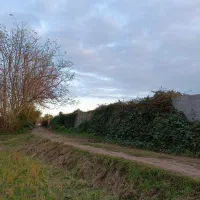 سرمایه‌گذاری ویژه برای تهرانی‌ها واصفهانی‌ها|فروش زمین و ملک کلنگی|رودبنه, |دیوار