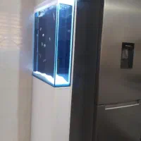 آروانا خوش سایز*فروش اکواریوم شرکتی|ماهی|زنجان, |دیوار