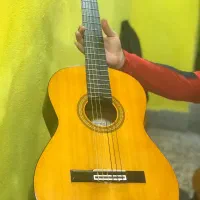 Ak15N|گیتار، بیس، امپلیفایر|رشت, معلم|دیوار