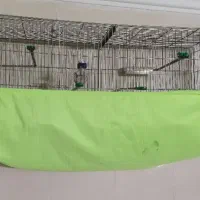 2 عددقفس بزرگ قدیمی جوجه پران