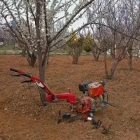 شخم و پاکنی باغ با تیلر