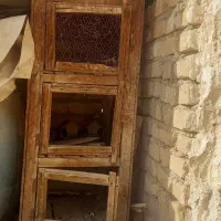 جفت کن پرنده